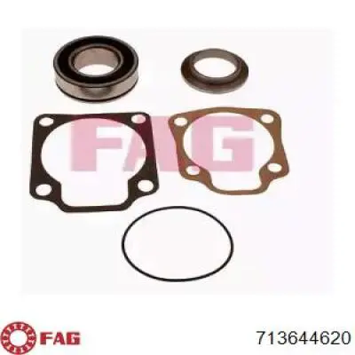 713644620 FAG Подшипник ступицы задней