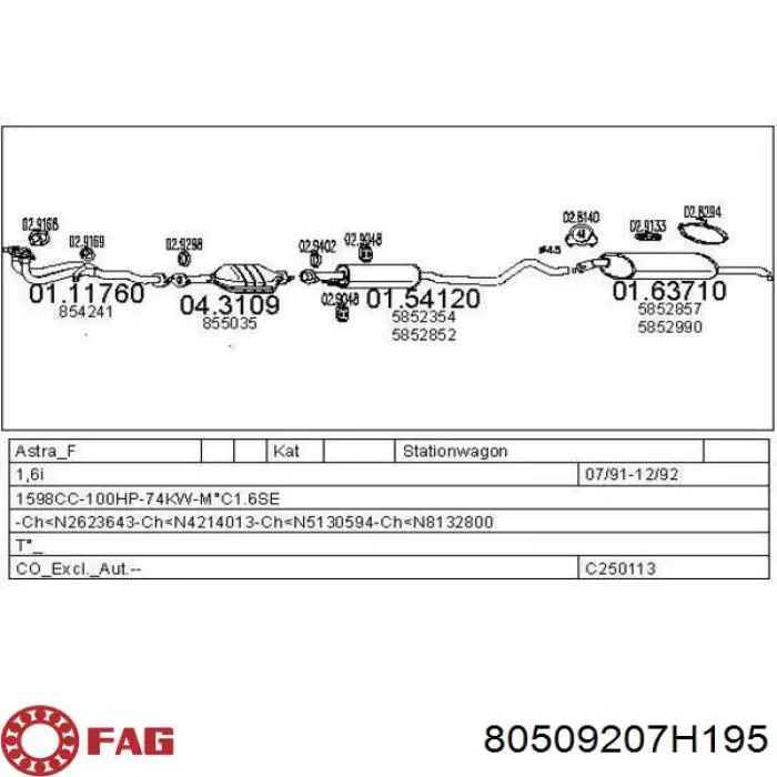 Купить 80509207H195 FAG Подшипник ступицы передней/задней