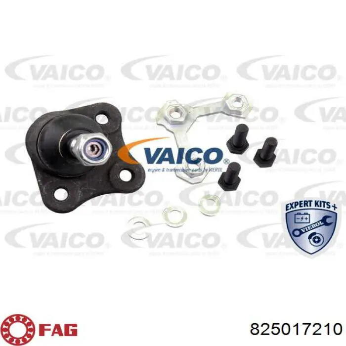 Нижняя левая шаровая опора FAG 825017210 цена, от 14.02 USD