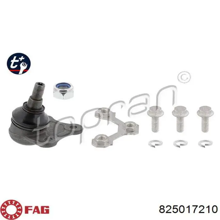 Нижняя левая шаровая опора FAG 825017210 цена, от 14.02 USD