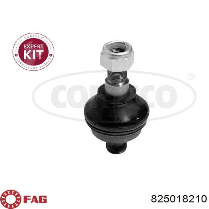 Шаровая опора, нижняя FAG 825018210 цена, от 15.43 USD