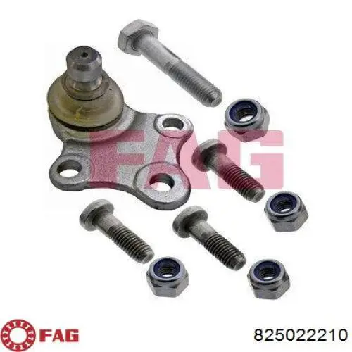 Шаровая опора, нижняя FAG 825022210 цена, от 8.44 USD