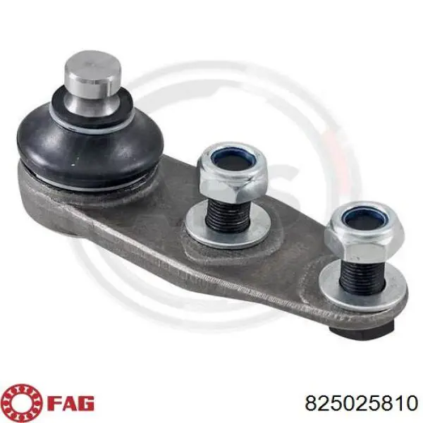 Шаровая опора, нижняя FAG 825025810 цена, от 12.92 USD