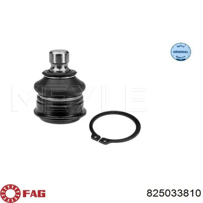 Шаровая опора, нижняя FAG 825033810 цена, от 15.77 USD