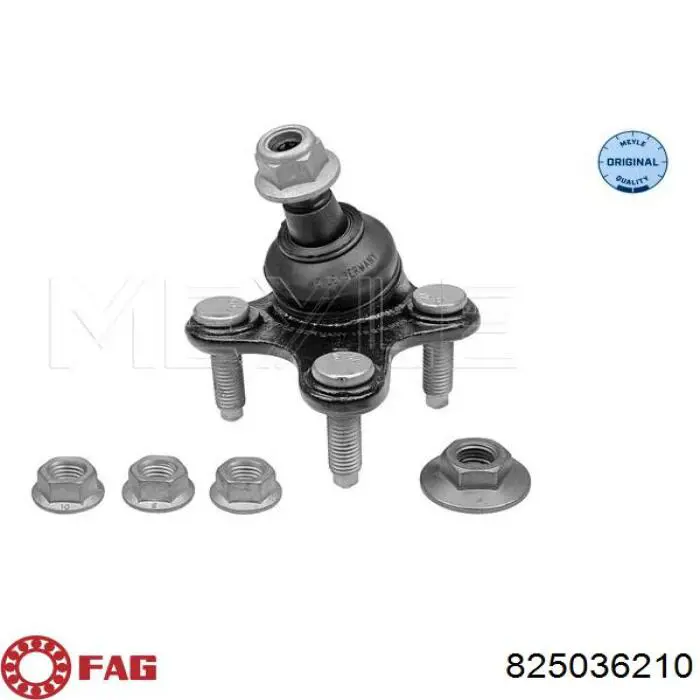 Нижняя левая шаровая опора FAG 825036210 цена, от 16.25 USD