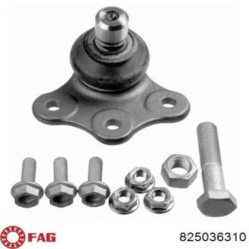 Купить 825036310 FAG Нижняя шаровая опора