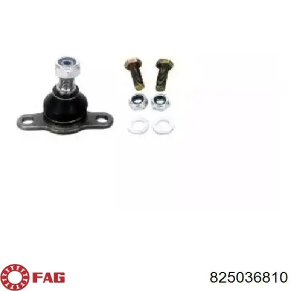 Купить 825036810 FAG Нижняя шаровая опора
