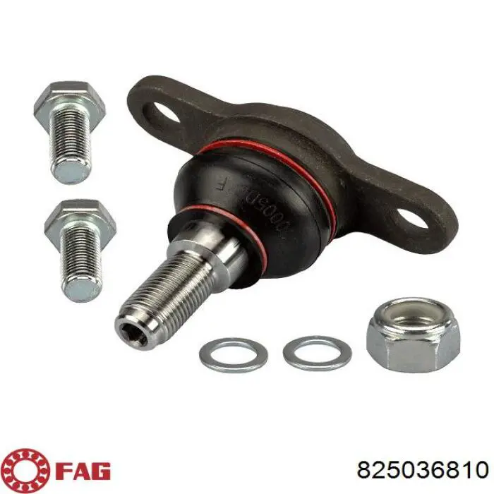Шаровая опора, нижняя FAG 825036810 цена, от 15.45 USD