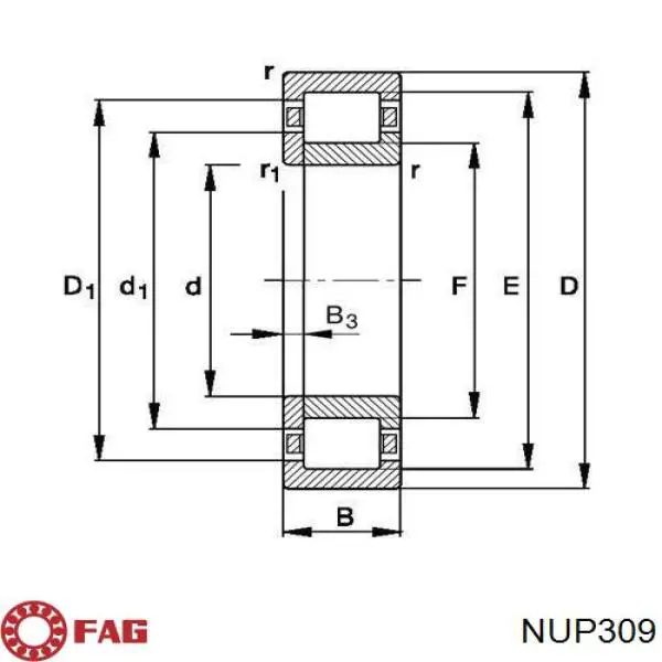  NUP309 Koyo