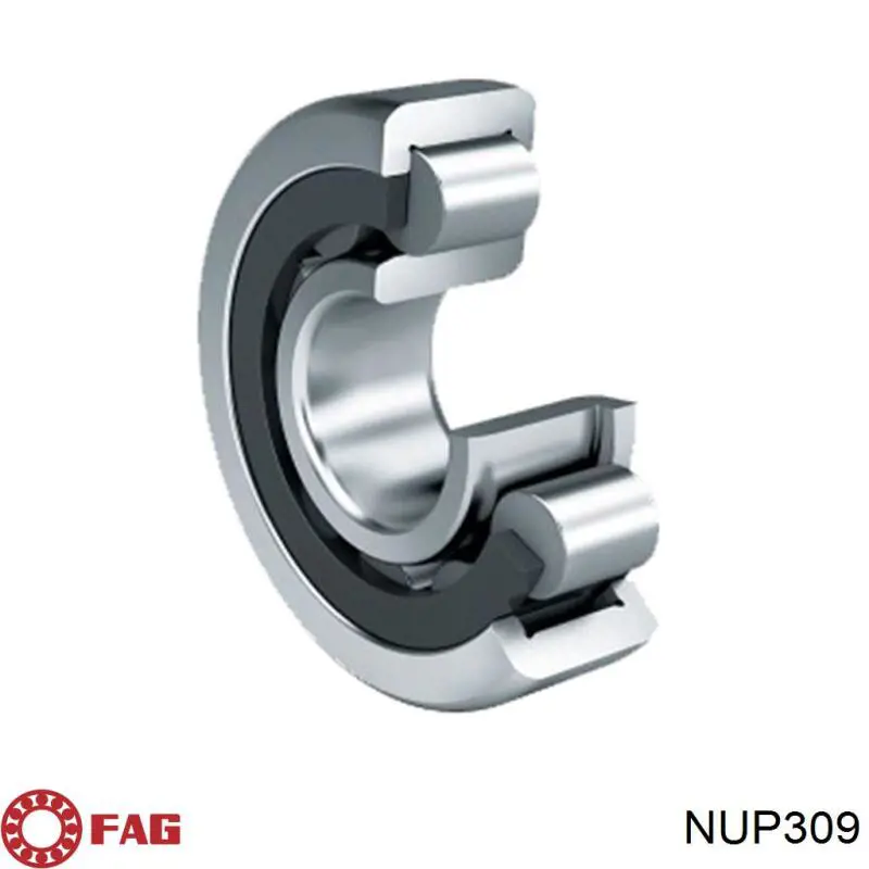 NUP309 Koyo 