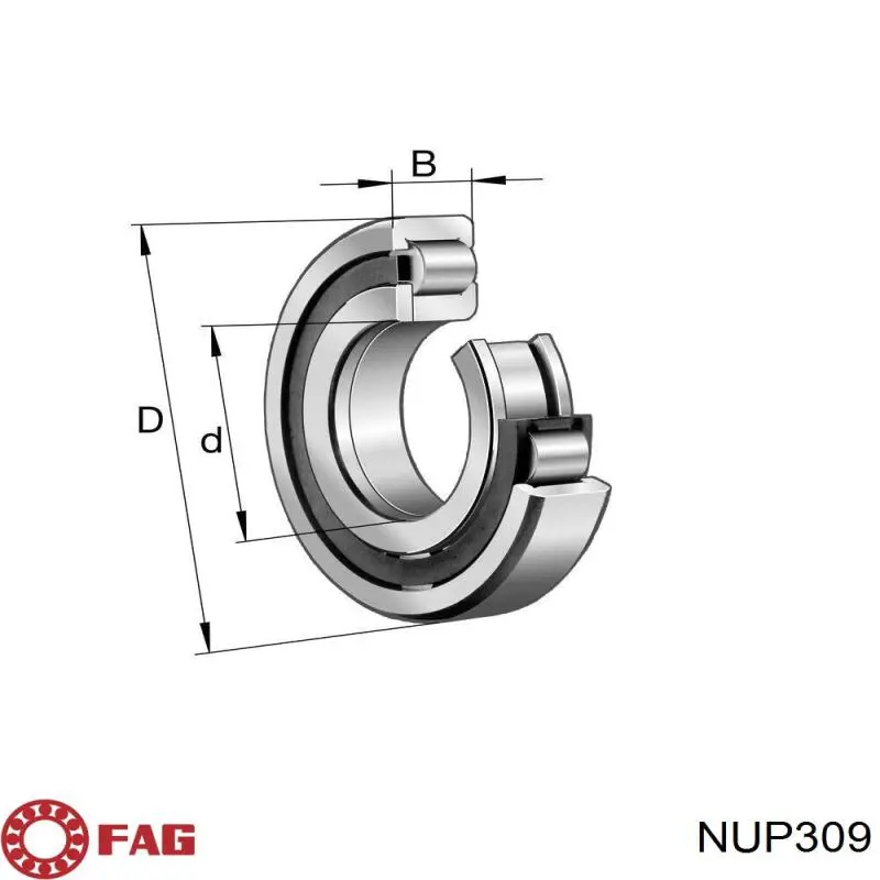 Купить NUP309 Koyo 