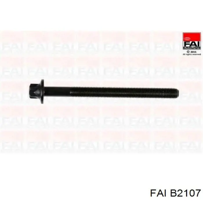 Болт головки блока цилиндров, ГБЦ FAI B2107 цена, от 17.10 USD