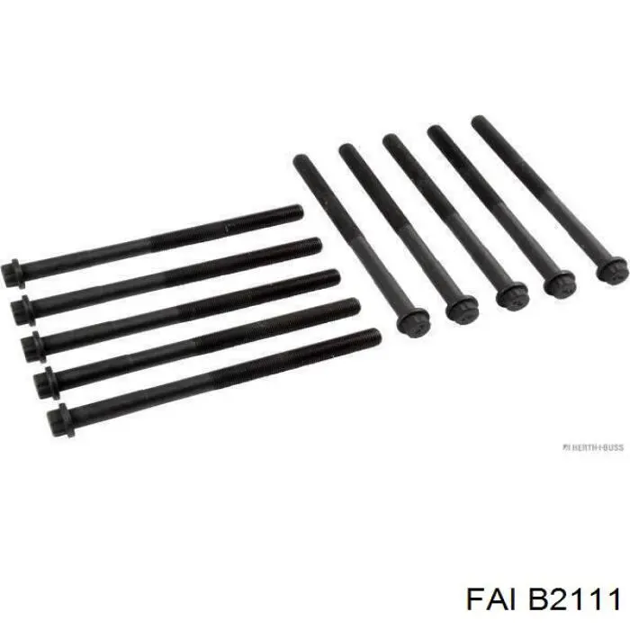 Болт ГБЦ BL206 Japan Parts