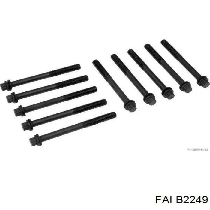Купить B2249 FAI Болт ГБЦ