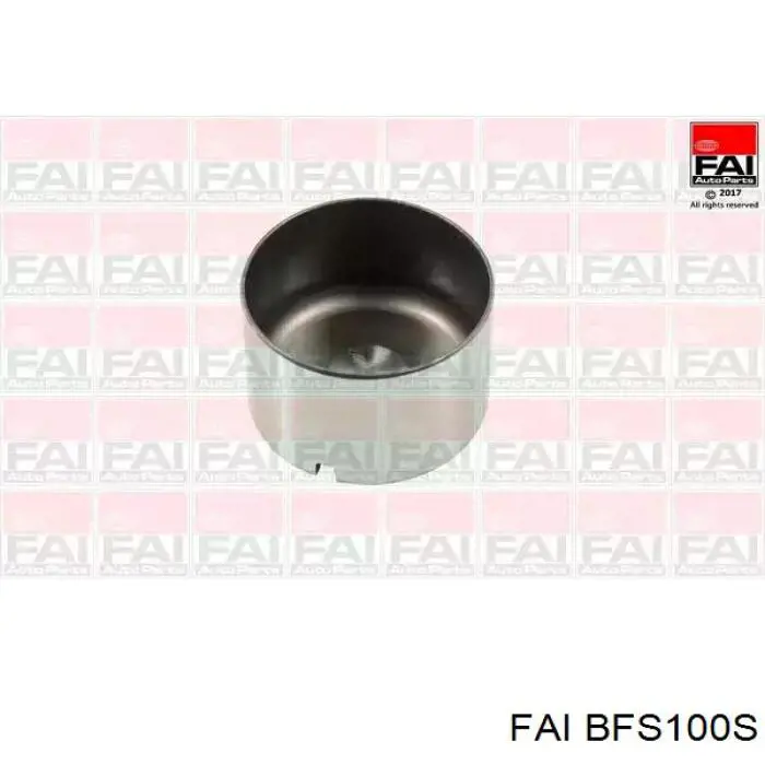 BFS100S FAI гидрокомпенсатор (гидротолкатель, толкатель клапанов)
