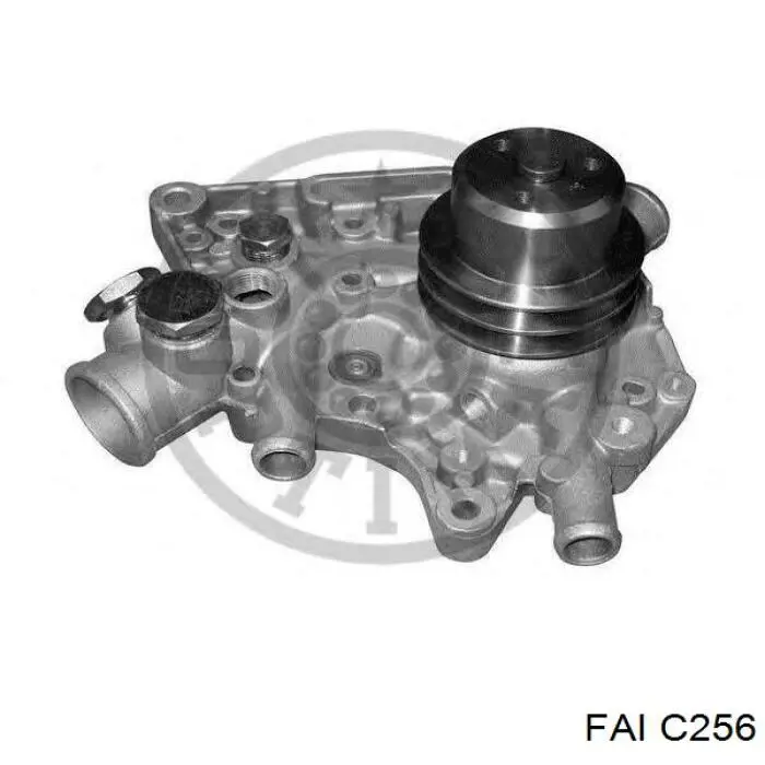 C256 FAI