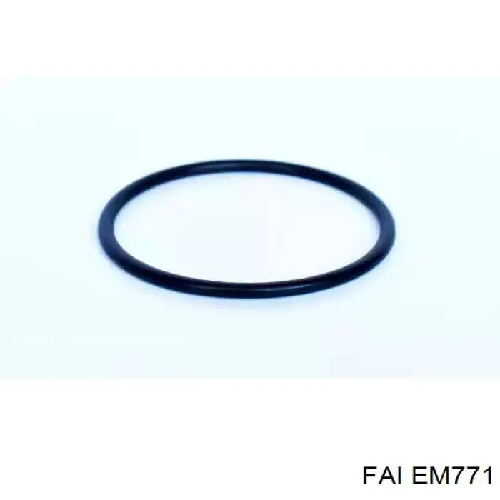 EM771 FAI