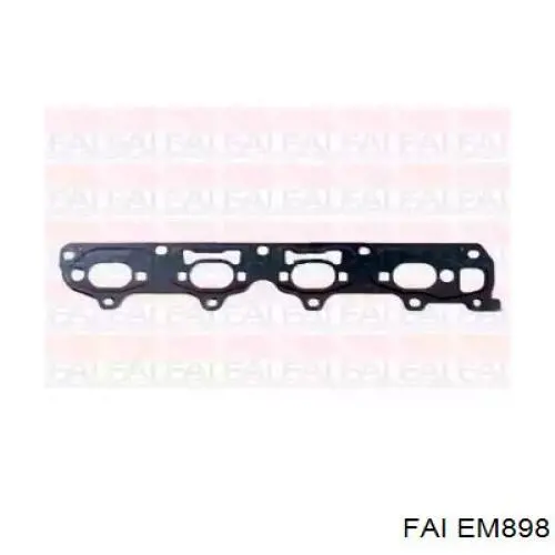 EM898 FAI