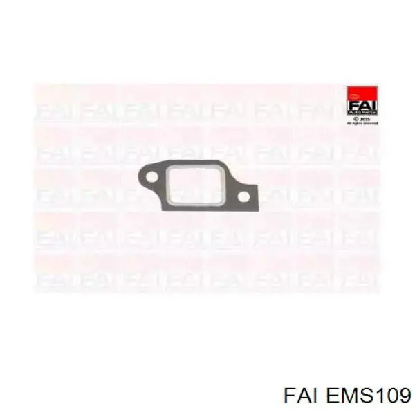 EMS109 FAI прокладка коллектора