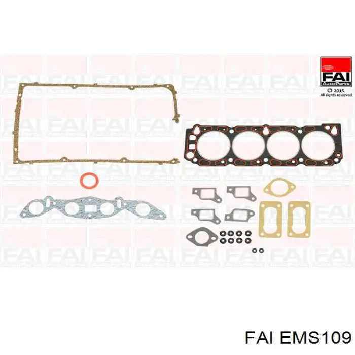 EMS109 FAI