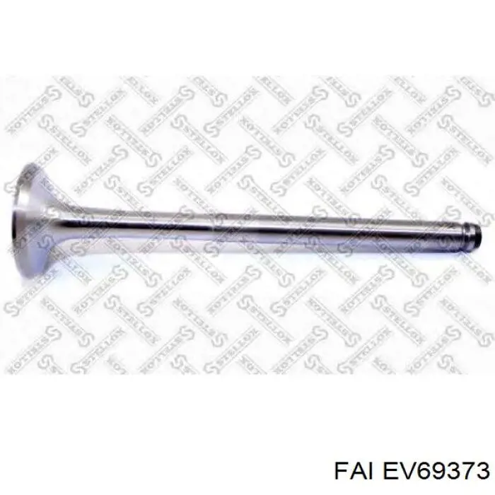 EV69373 FAI