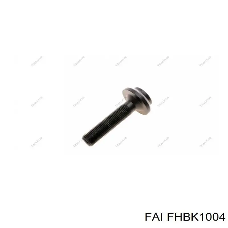 FHBK1004 FAI Подшипник ступицы передней и задней