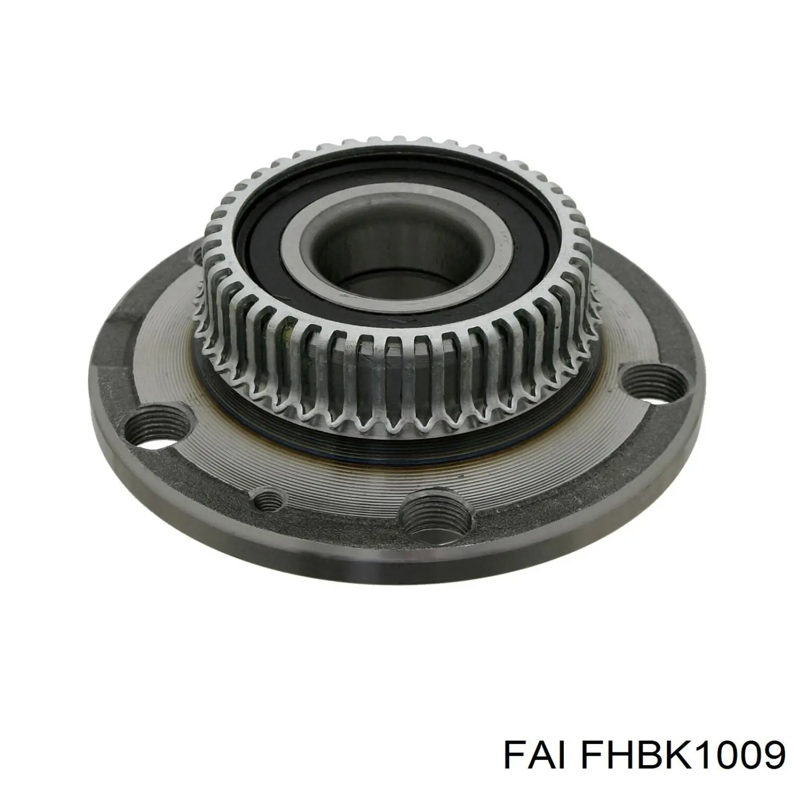 FHBK1009 FAI