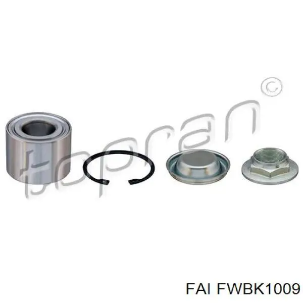 Подшипники задней ступицы FAI FWBK1009 цена, от 20.08 USD