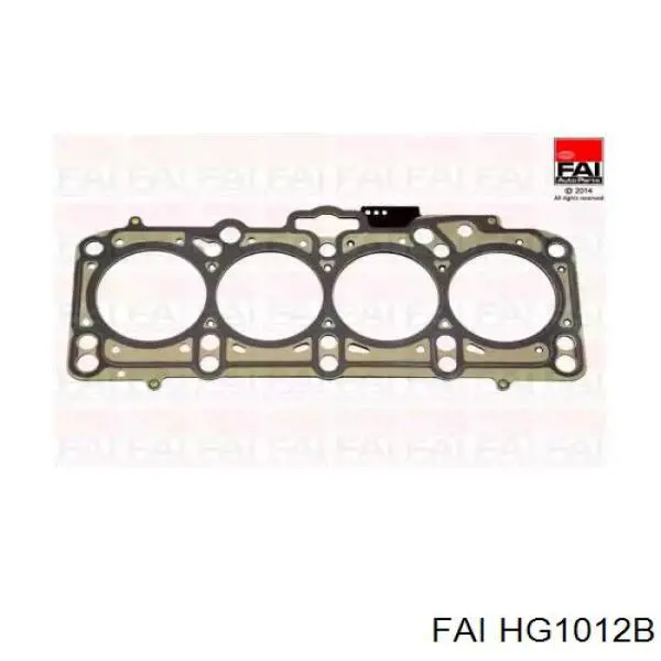 Купить HG1012B FAI Прокладка ГБЦ