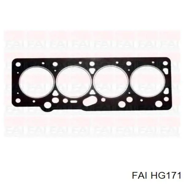 HG171 FAI