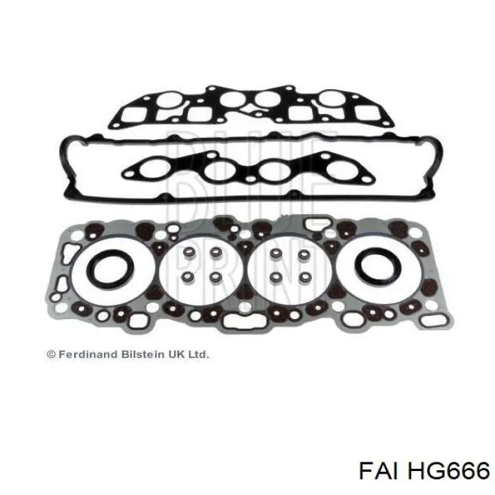 HG666 FAI
