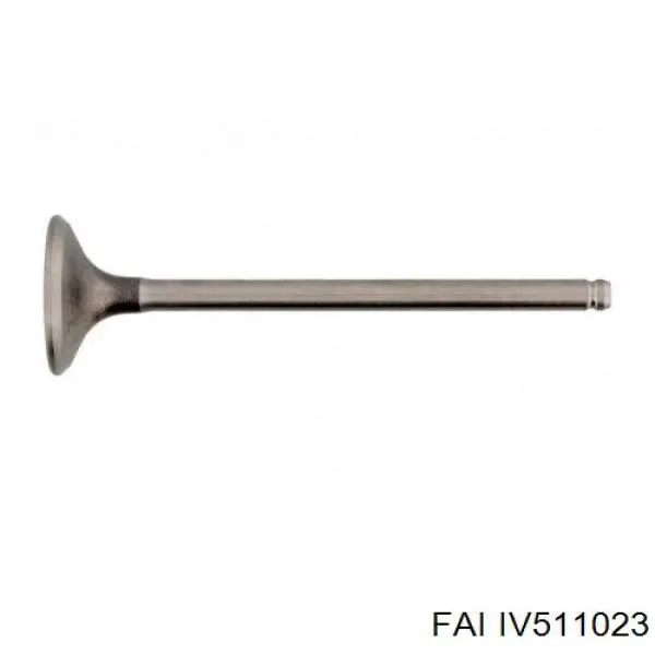 IV511023 FAI