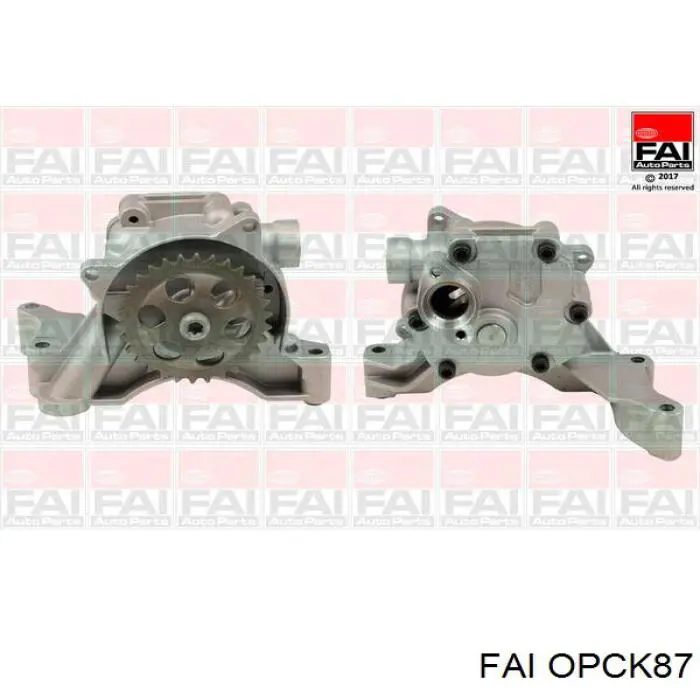 Купить OPCK87 FAI Цепь маслянного насоса
