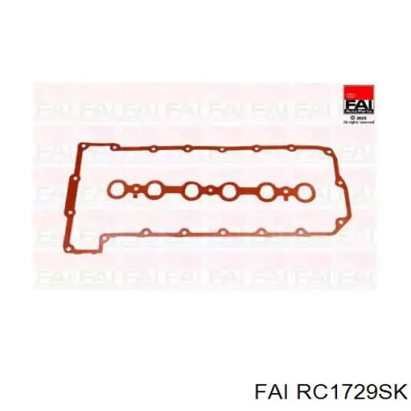 Комплект прокладок крышки клапанов RC1729SK FAI