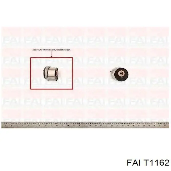 Rodillo, cadena de distribución T1162 FAI