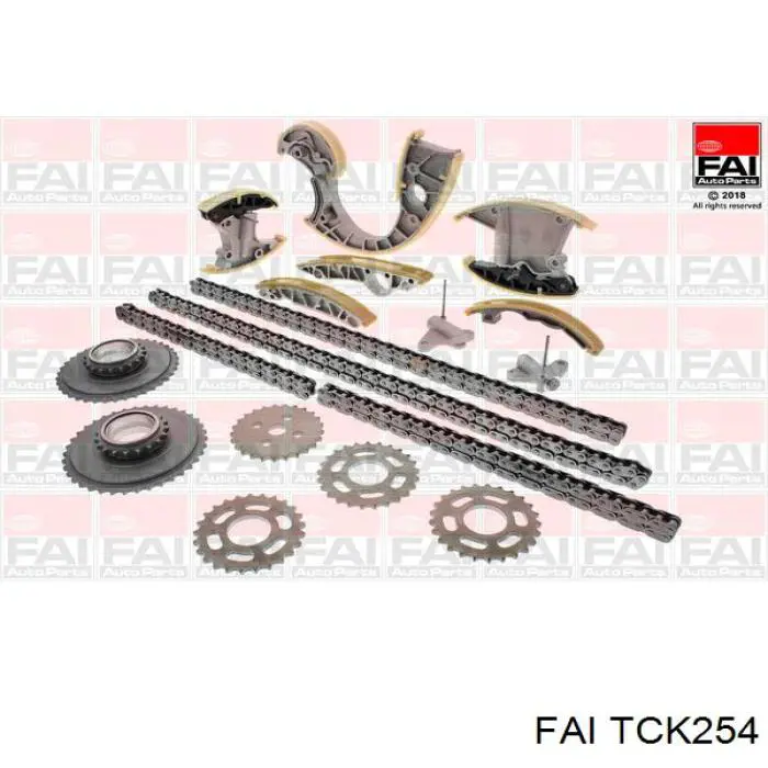 Купить TCK254 FAI Набор цепи грм