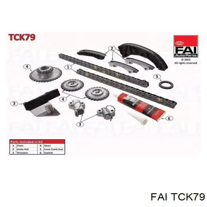 TCK79 FAI комплект цепи грм