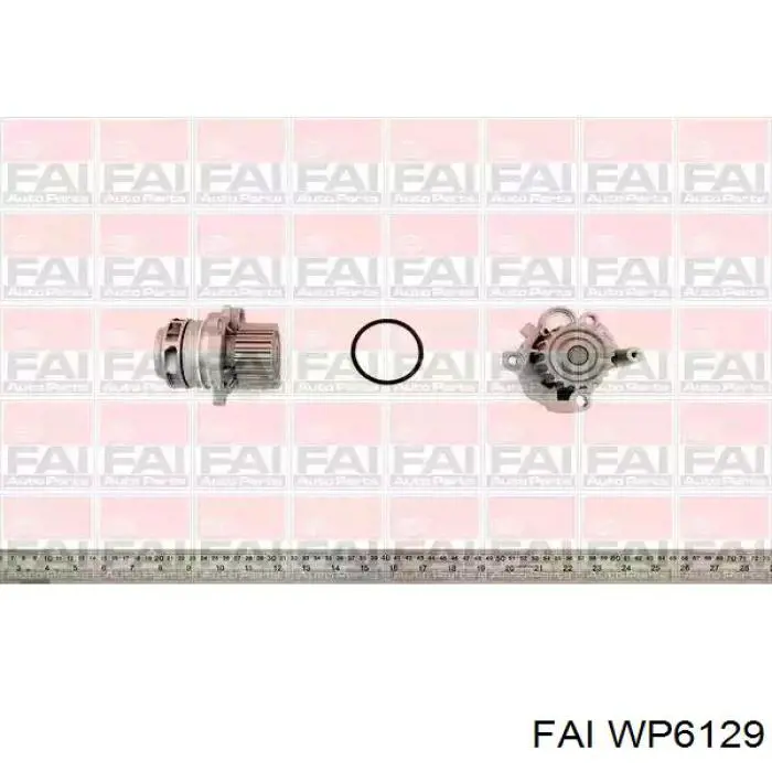 WP6129 FAI bomba de água (bomba de esfriamento)
