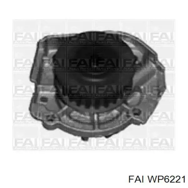 WP6221 FAI bomba de água (bomba de esfriamento)
