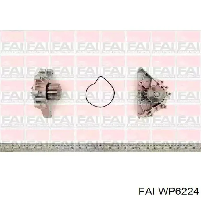 WP6224 FAI