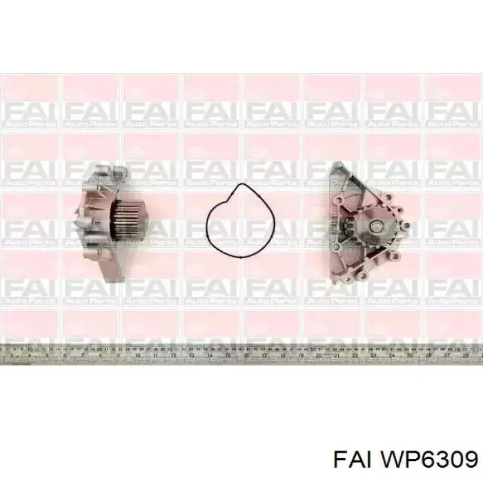 WP6309 FAI bomba de água (bomba de esfriamento)