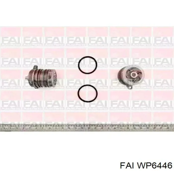 WP6446 FAI bomba de água (bomba de esfriamento)