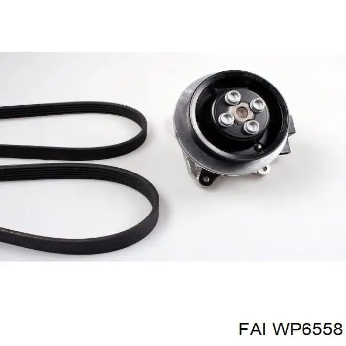 Купить WP6558 FAI Насос охлаждения