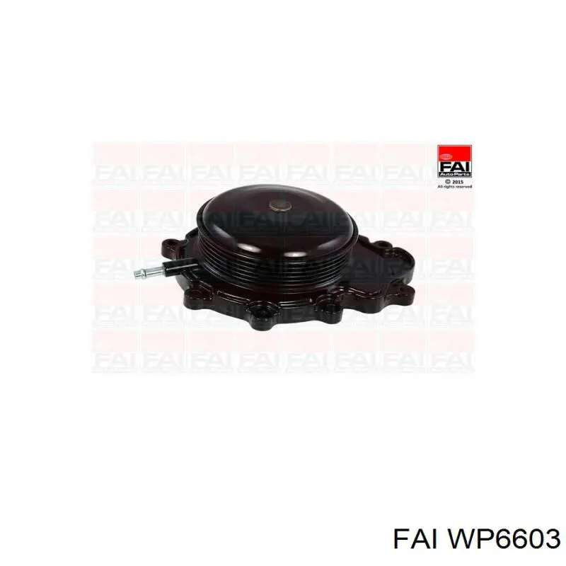 Купить WP6603 FAI Насос охлаждения