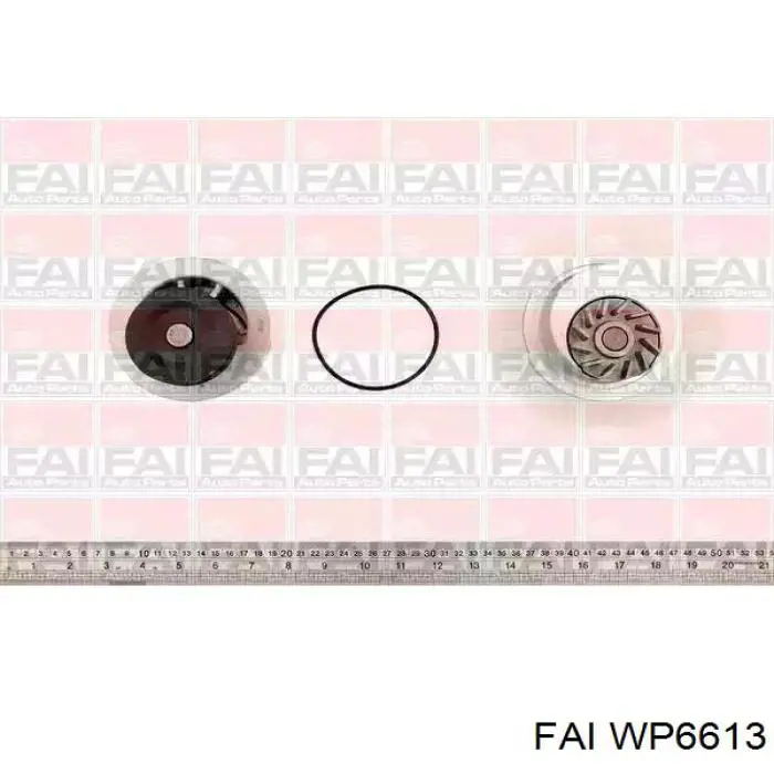 WP6613 FAI