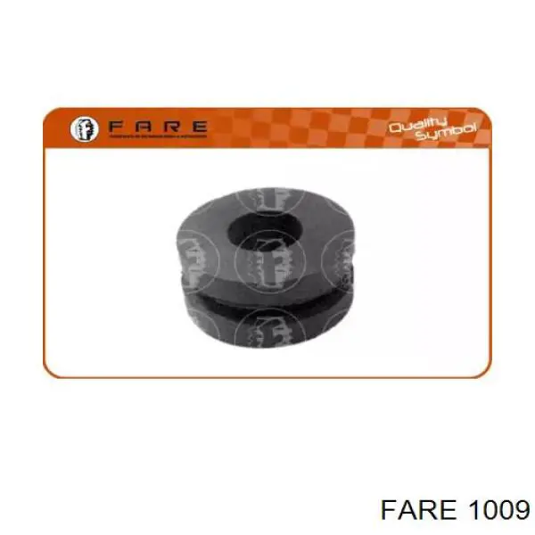  1009 Fare