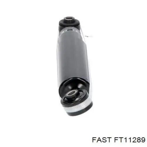 Амортизатор подвески передний левый Fast FT11289 цена, от 35.57 USD