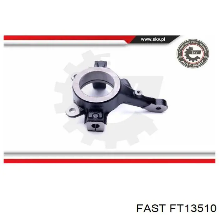 Цапфа (поворотный кулак) передний левый Fast FT13510 цена, от 42.00 USD