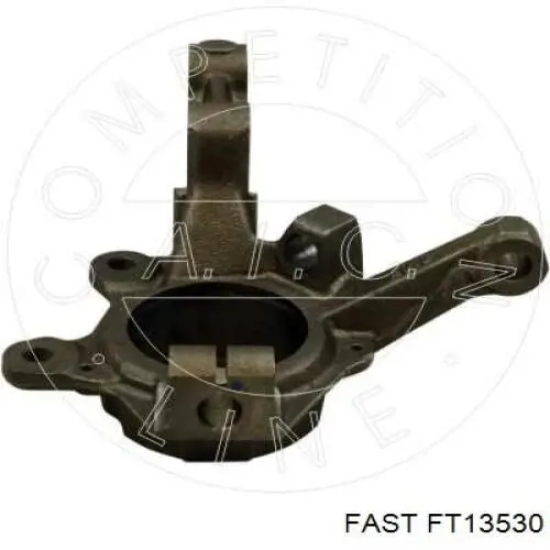 Цапфа (поворотный кулак) передний левый Fast FT13530 цена, от 45.66 USD