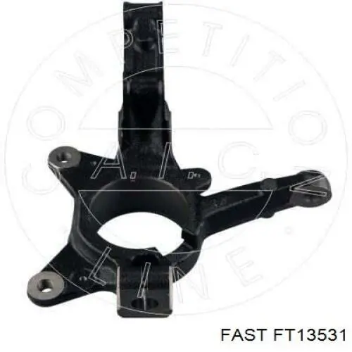 Цапфа (поворотный кулак) передний правый Fast FT13531 цена, от 51.48 USD